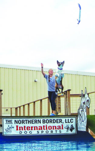 The Northern Border is a local dog dock diving site | News, Sports, Jobs